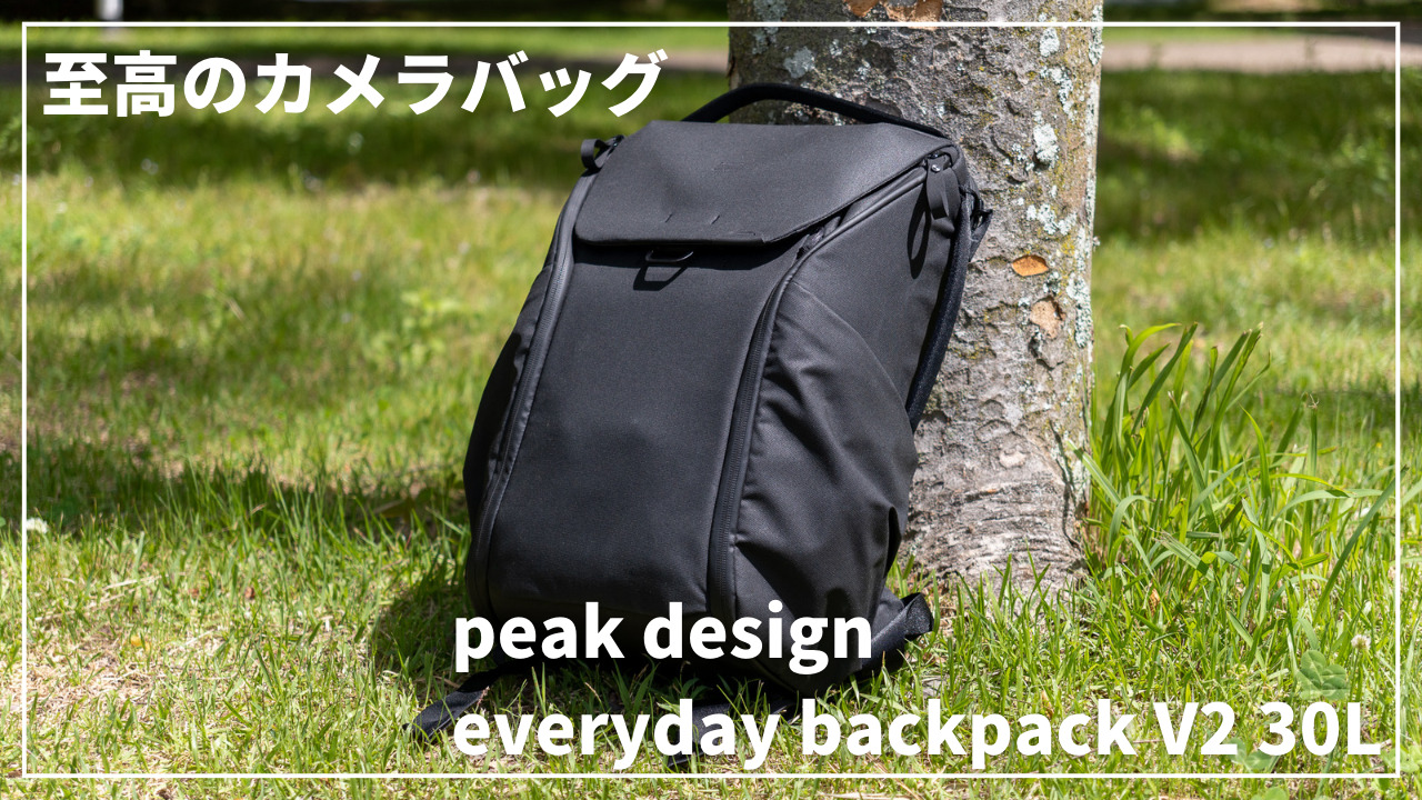 ピークデザイン Peak design エブリデイバックパック 20L ブラック 